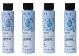 Coloraqua PPD,Ammonia,Resorcinol,Silicone Fragrance Free