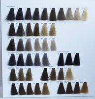 Silky Color Chart 4 luik