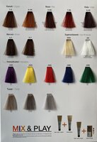 Nouvelle Lively color 100ml