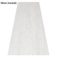 Paint Bang Moon Haarverf (Neutraal)