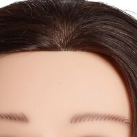 L&#039;Image Oefenhoofd Nico