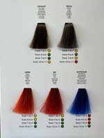 NEW Rev Up Color Chart  11 Shades