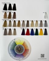 Silky Color Chart 4 luik