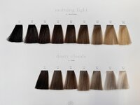 Previa Earth Color Chart