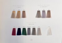 Previa Earth Color Chart