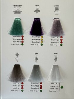 NEW Rev Up Color Chart  11 Shades