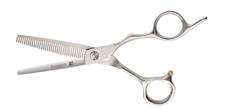 Leader Pegaso coupeschaar 5.5&quot;