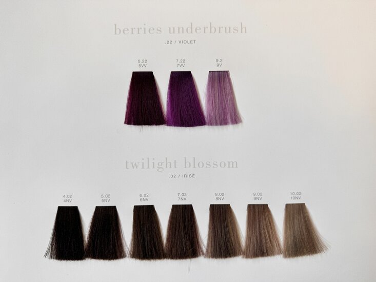 Previa Earth Color Chart