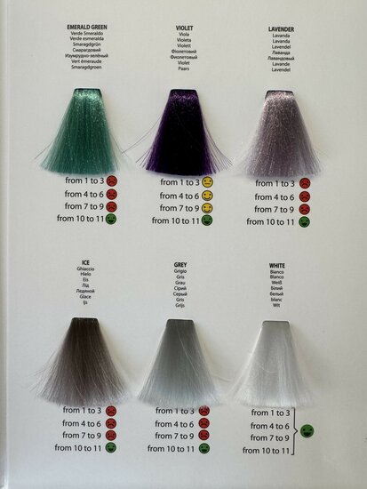 Rev Up Color Chart  11 Shades