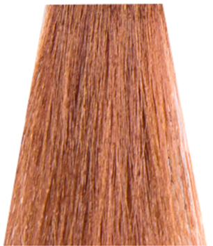 Nouvelle EspressoTime 10min Hair Color 8.31 60ml