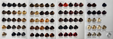 Toujours Trend Color Chart 