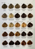 Toujours Trend Color Chart 