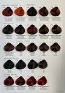 Toujours Trend Color Chart 