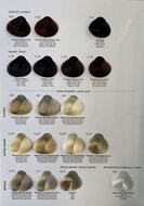 Toujours Trend Color Chart 