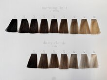 Previa Earth Color Chart