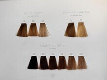 Previa Earth Color Chart