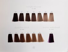 Previa Earth Color Chart