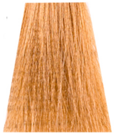 Nouvelle EspressoTime 10min Hair Color 10.31 60ml
