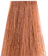 Nouvelle EspressoTime 10min Hair Color 8.31 60ml